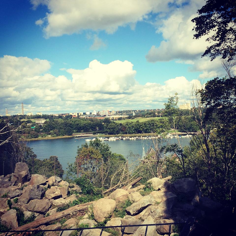 Stockholm View